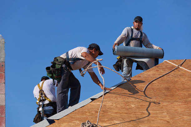 Best Flat Roof Repair Services  in Cetronia, PA